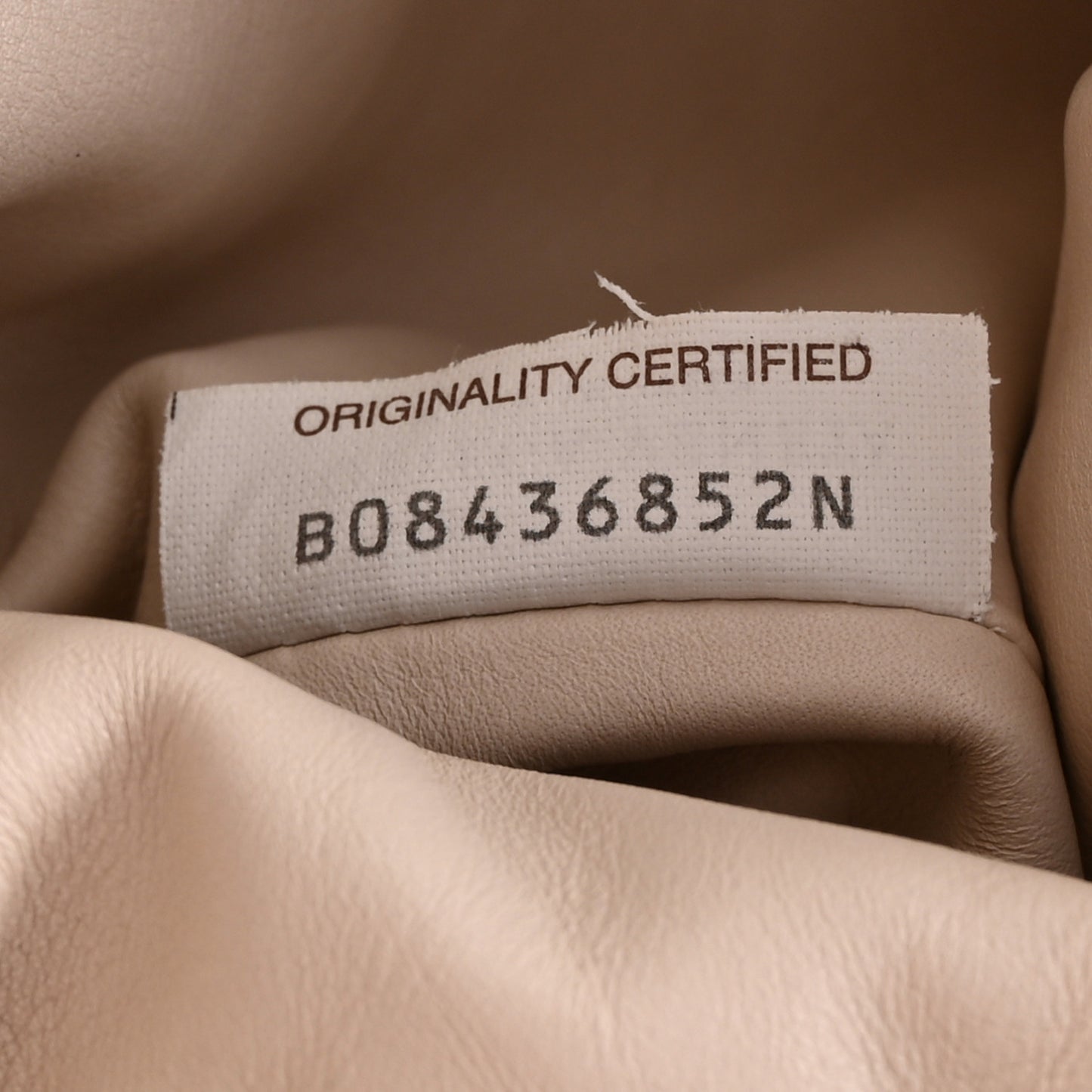 Smooth Butter Calf The Pouch Oversized Clutch Mist