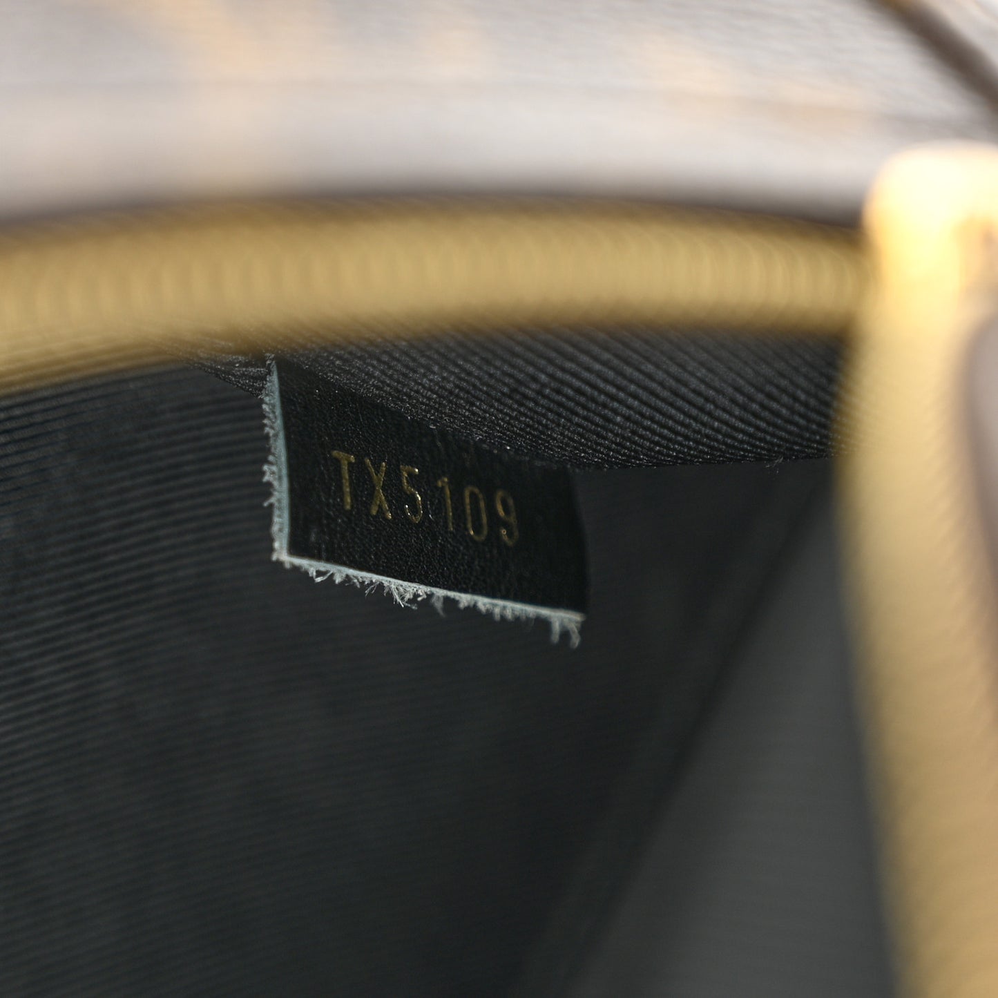 LOUIS VUITTON Monogram Palm Springs Backpack Mini