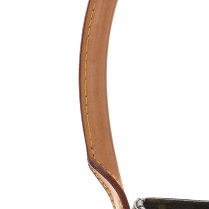 Louis Vuitton Monogram Looping MM 15 of 19