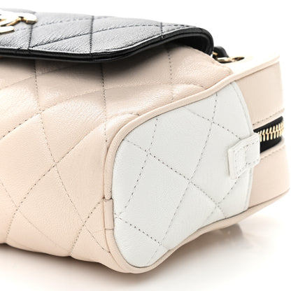 Chanel Goatskin Quilted Tri-Color Small In & Out Camera Case Black White Beige 10 of 10