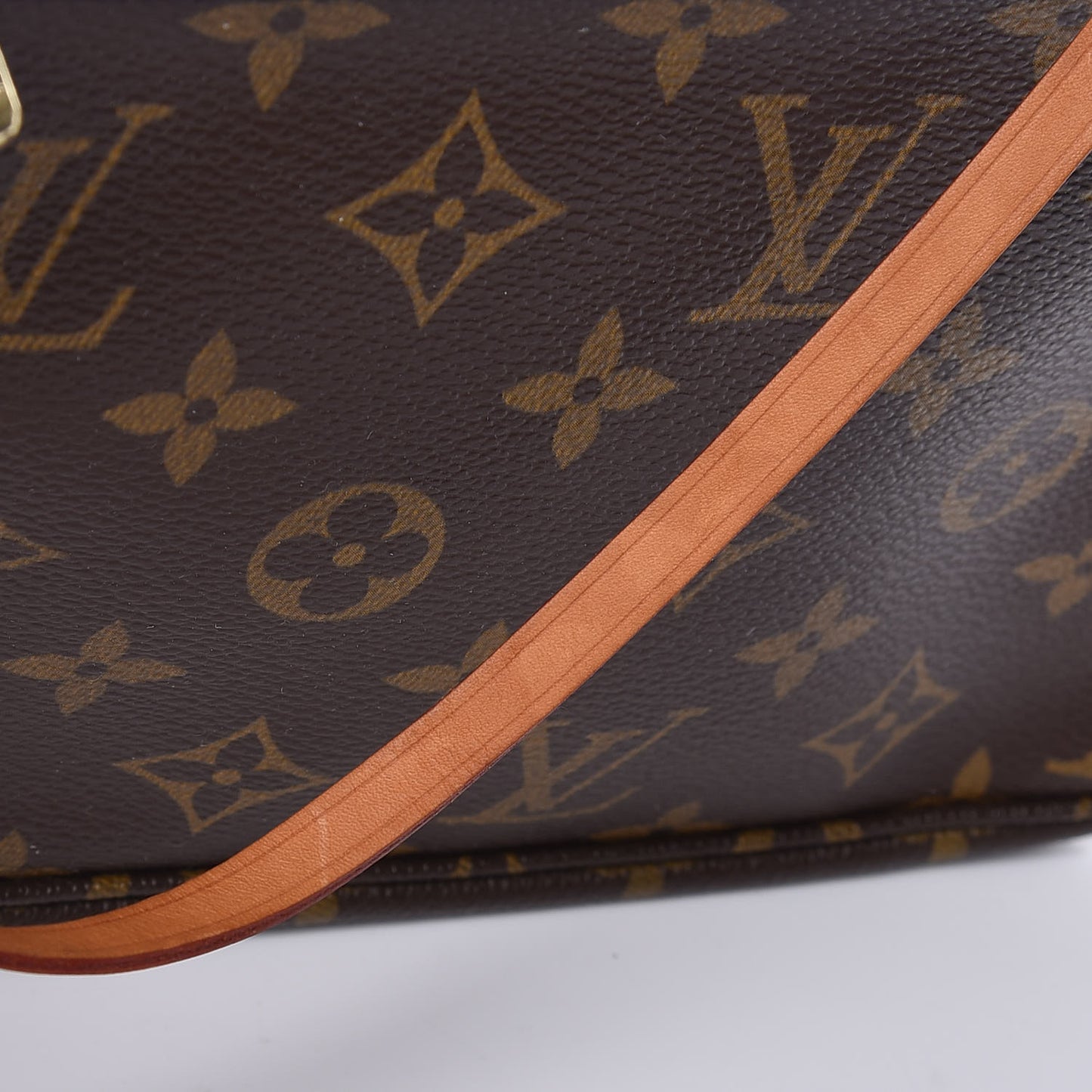 Monogram Pochette Accessories