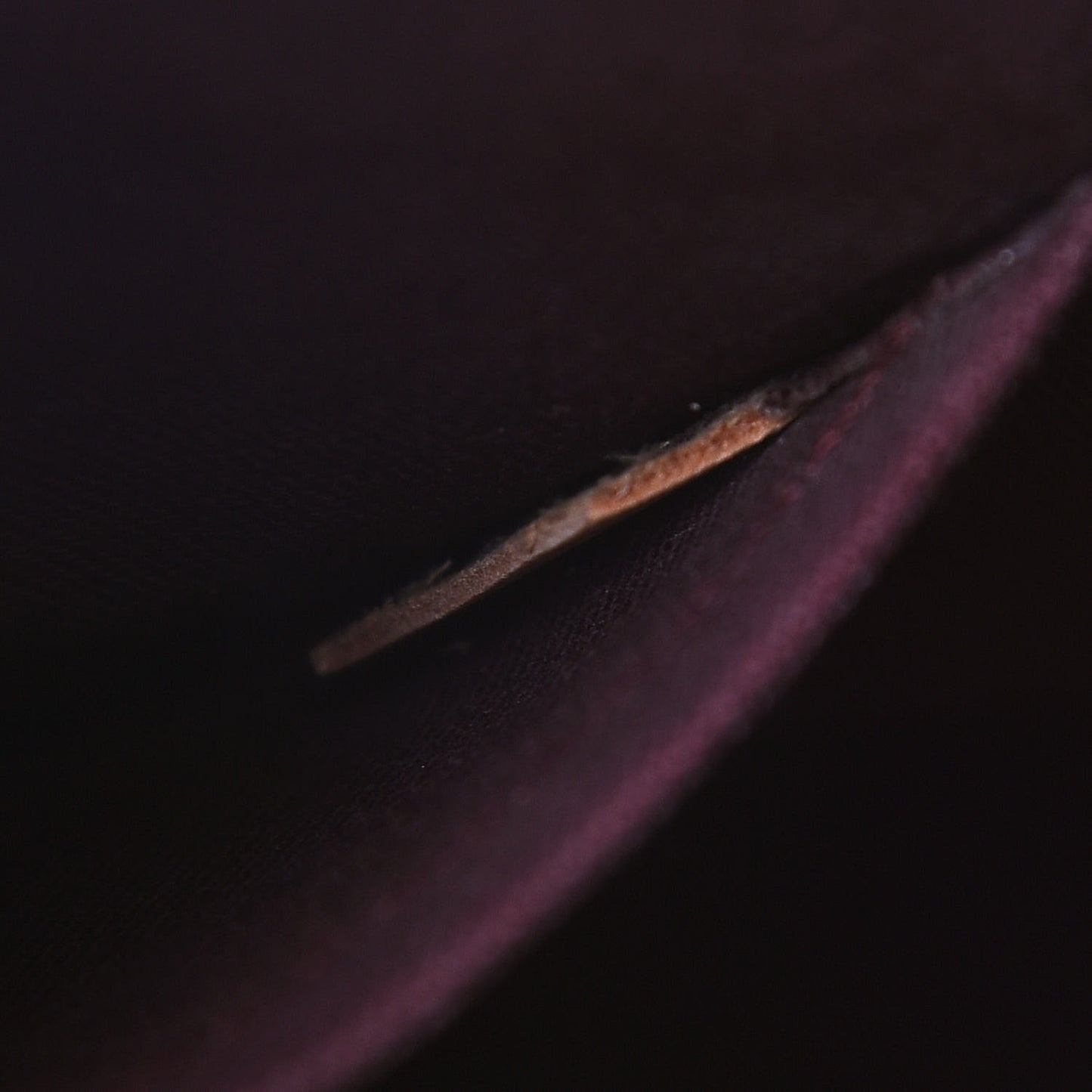 Monogram Turenne MM