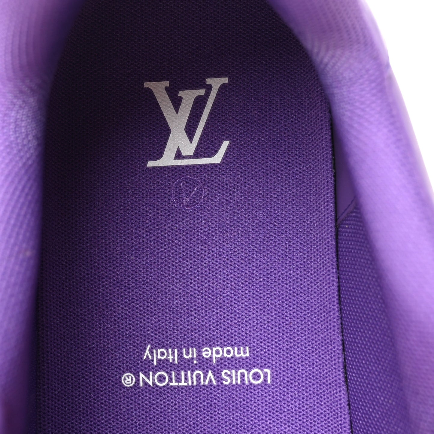 Calfskin Epi Mens LV Trainer Sneakers 9 Violet