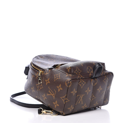 Louis Vuitton Monogram Palm Springs Backpack Mini 4 of 9