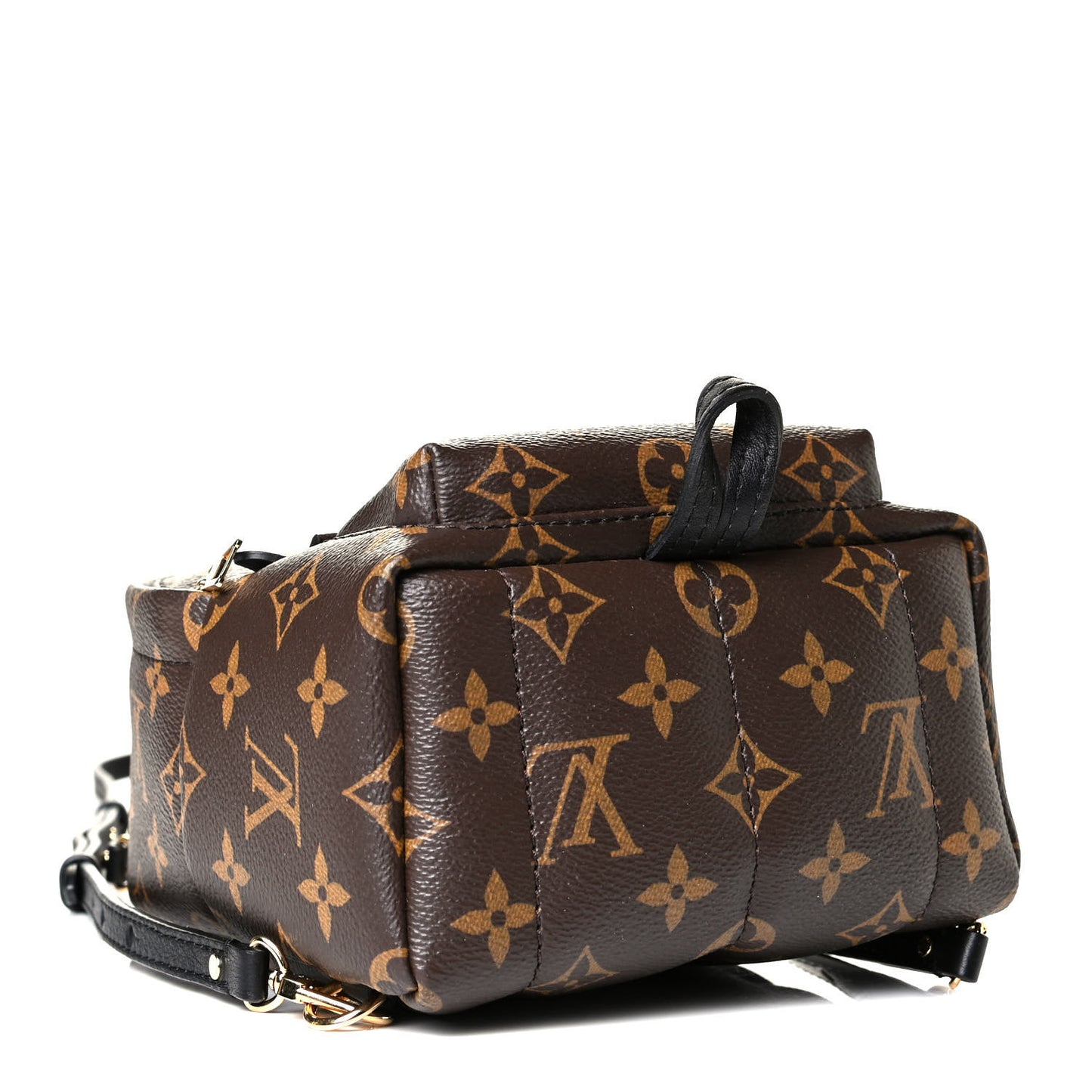 Monogram Palm Springs Backpack Mini