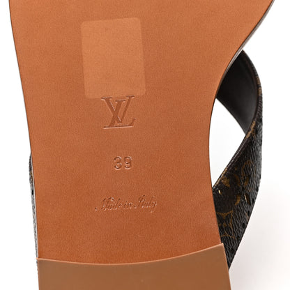 Louis Vuitton Monogram Sunny Flat Thong Sandals 39 Brown 7 of 9