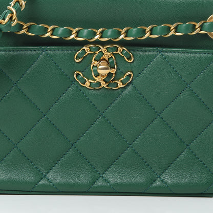 Chanel Goatskin Quilted 19 Camera Case Green 9 of 12