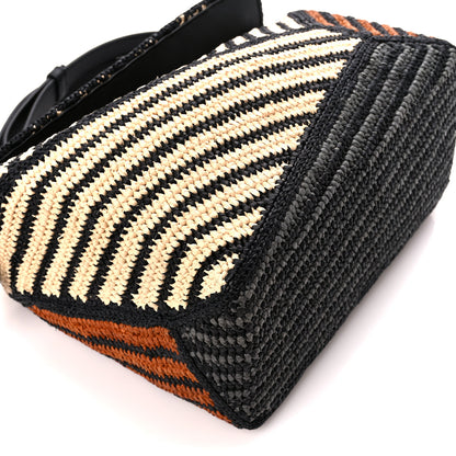 Loewe Raffia Calfskin Small Puzzle Bag Natural Honey Gold 8 of 9