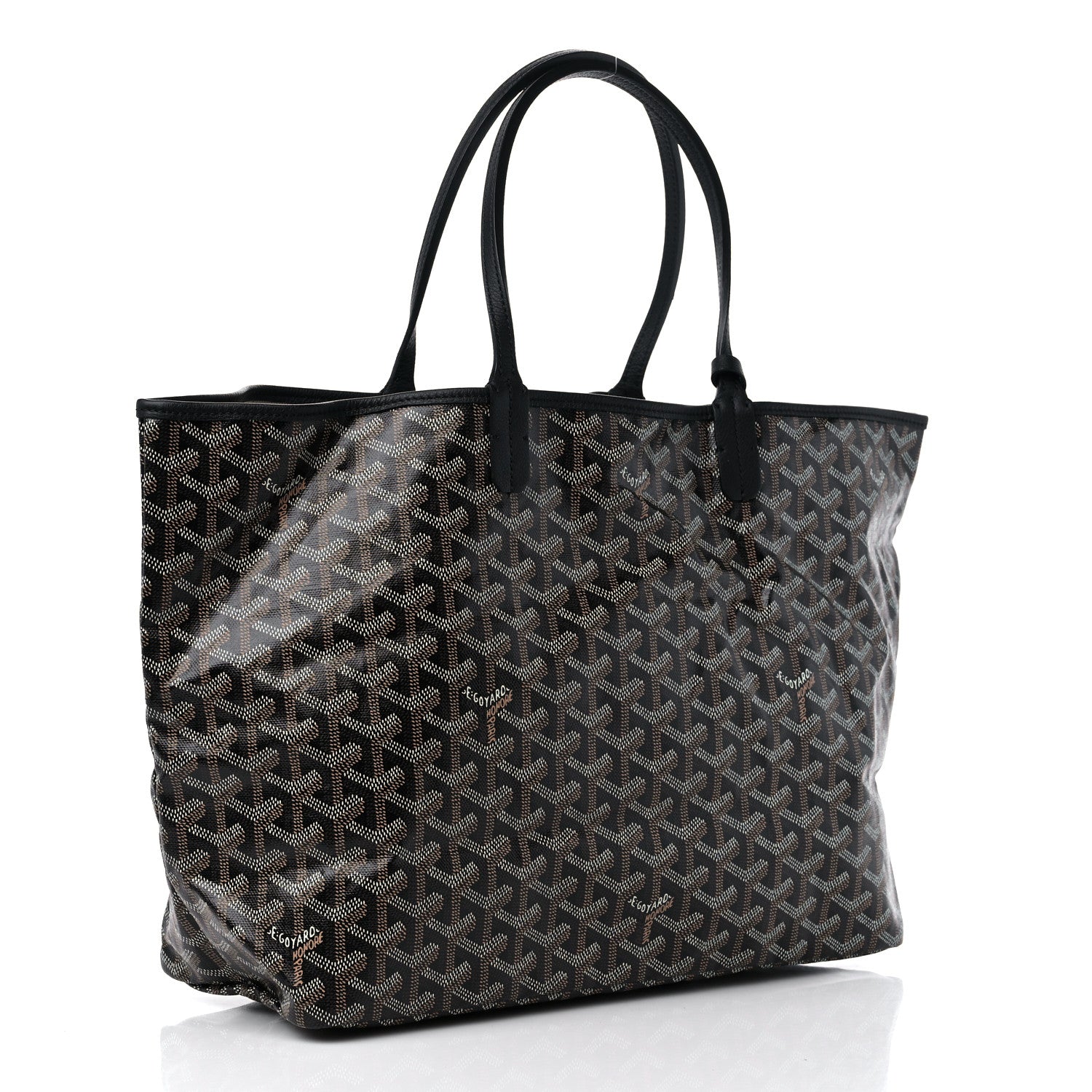 Goyard Goyardine Saint Louis PM Black 4 of 10