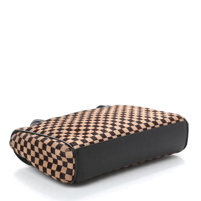 Louis Vuitton Damier Calf Hair Sauvage Lionne 4 of 9