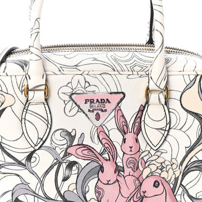 Prada X JAMES JEAN Glace Calfskin Rabbit Print Bauletto Opaline 7 of 9