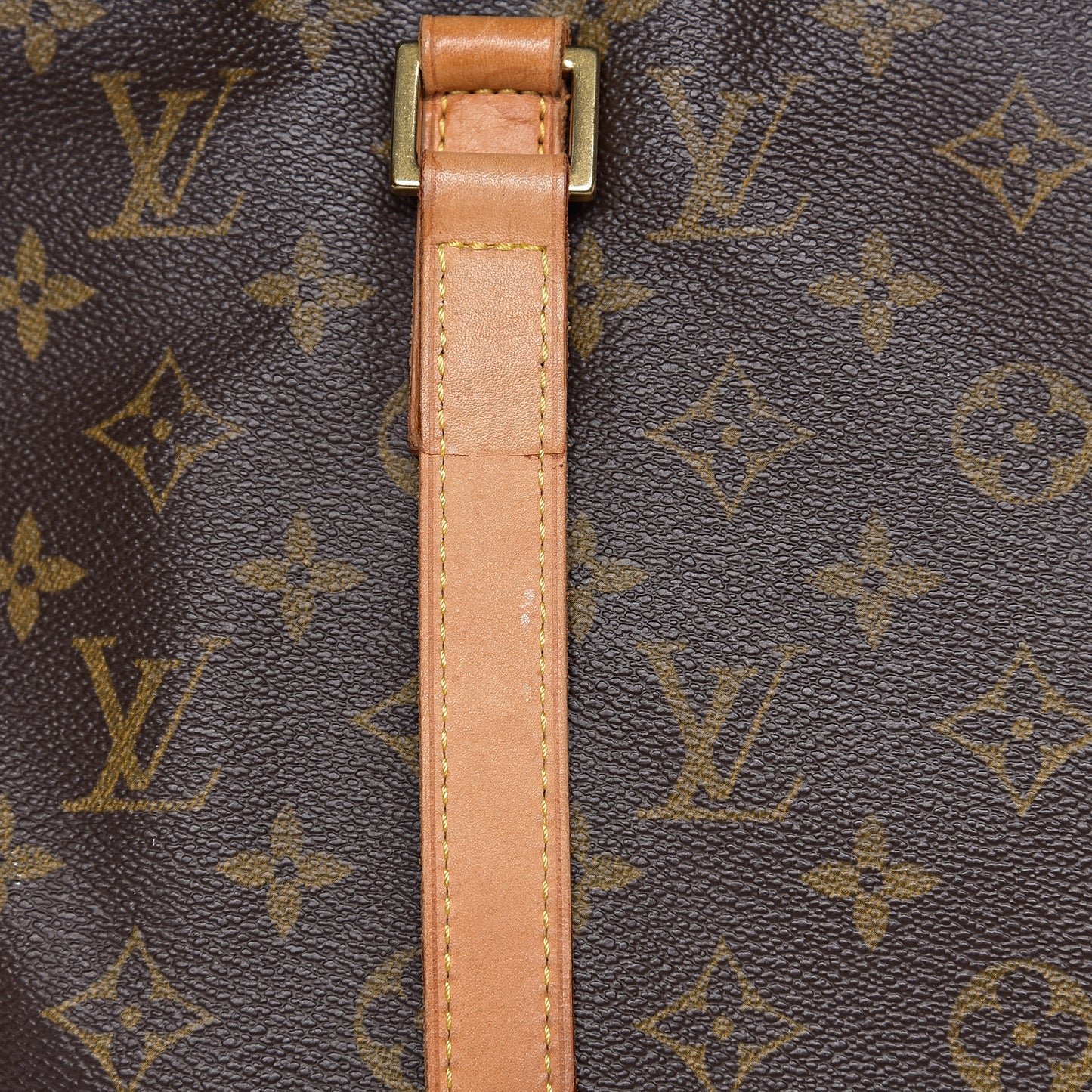 Monogram Cabas Mezzo