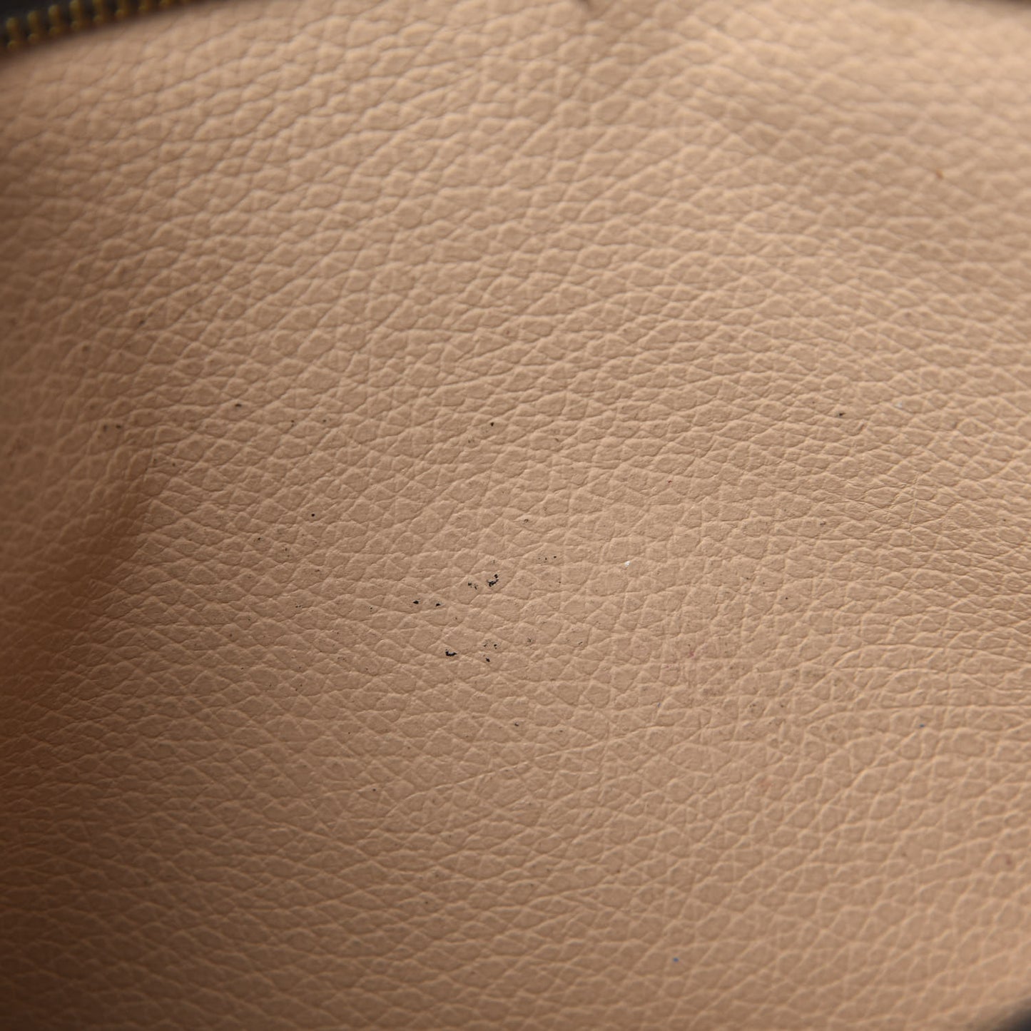 Monogram Toiletry Pouch 19
