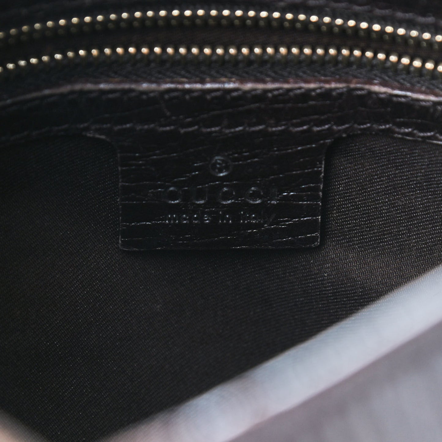 Monogram Hasler Hobo Dark Brown