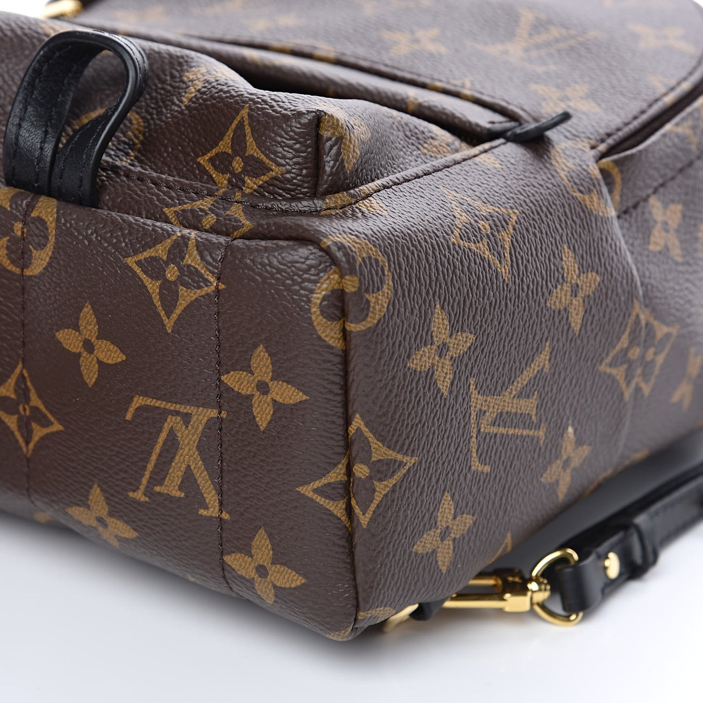 Monogram Palm Springs Backpack Mini
