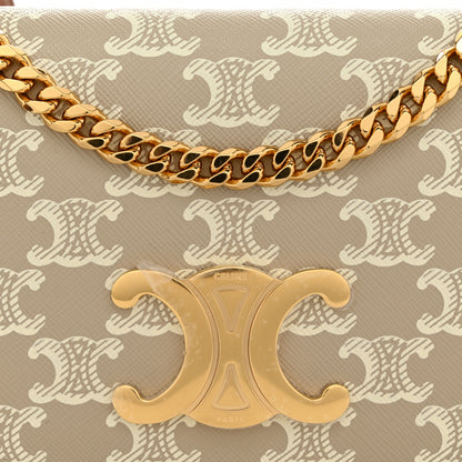 Celine Canvas Calfskin Triomphe Multipochette Grege 8 of 11