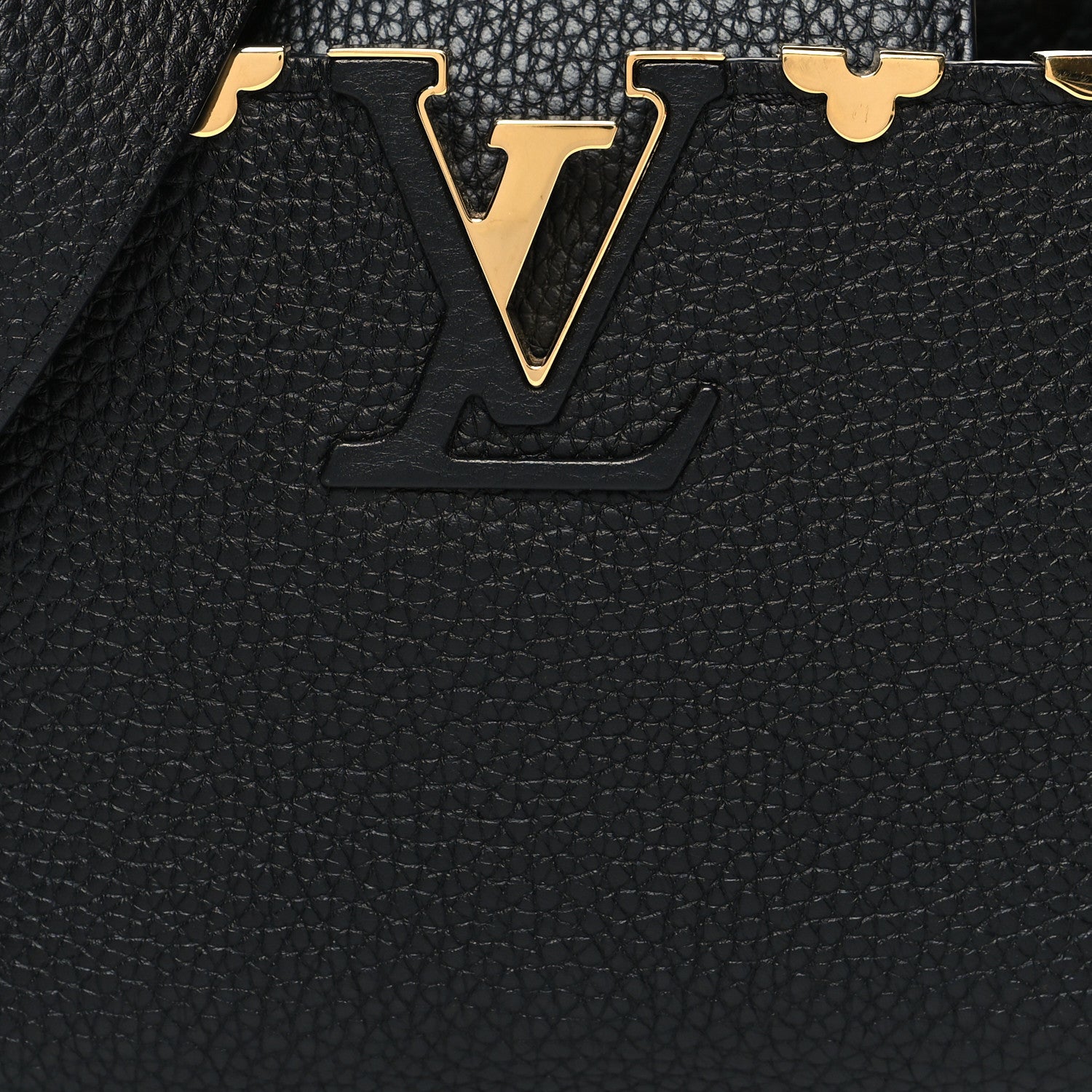 Louis Vuitton Taurillon Embellished Flower Crown Capucines Mini Black 8 of 10