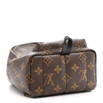 Louis Vuitton Monogram Palm Springs Backpack Mini 4 of 13