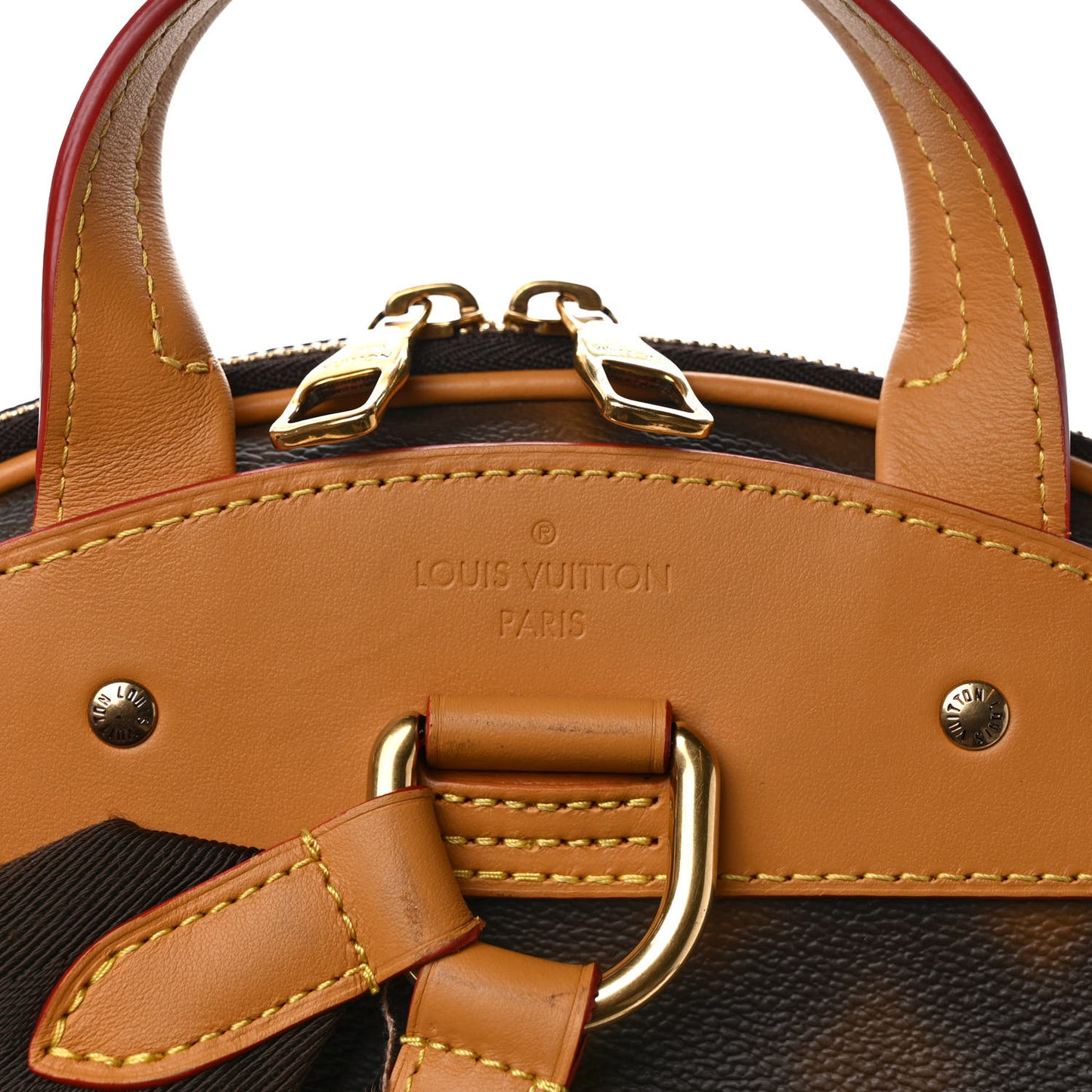 Monogram Blurry Ellipse Backpack