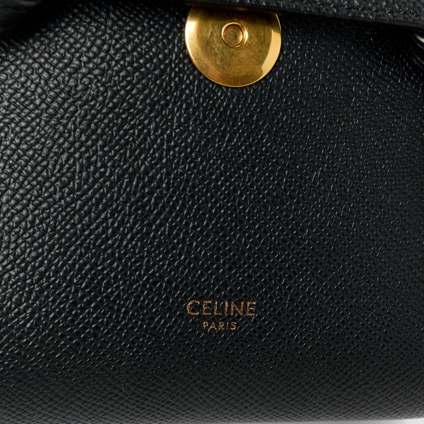 Grained Calfskin Pico Belt Bag Black