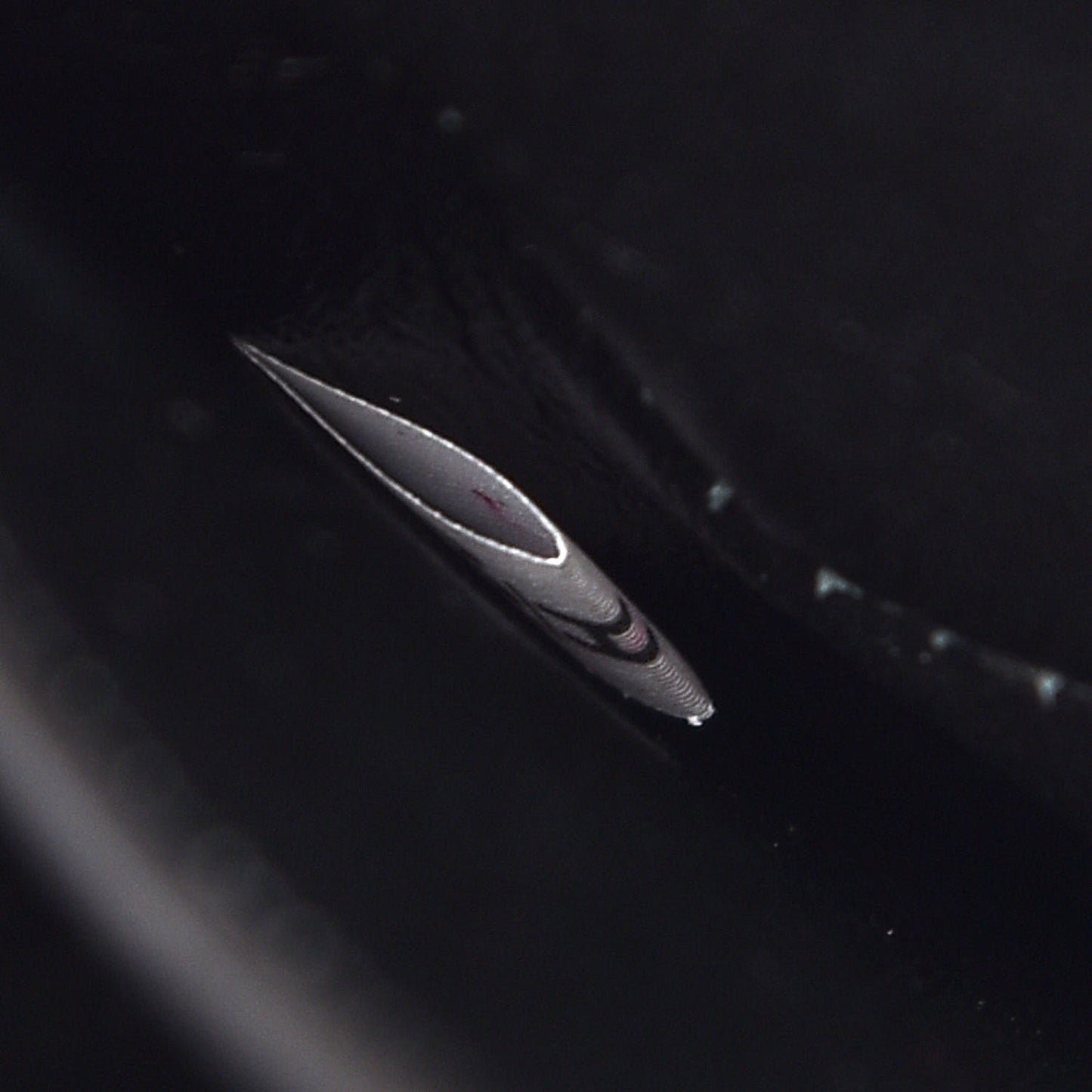 Saffiano Cuir Medium Double Bag Cammeo Black