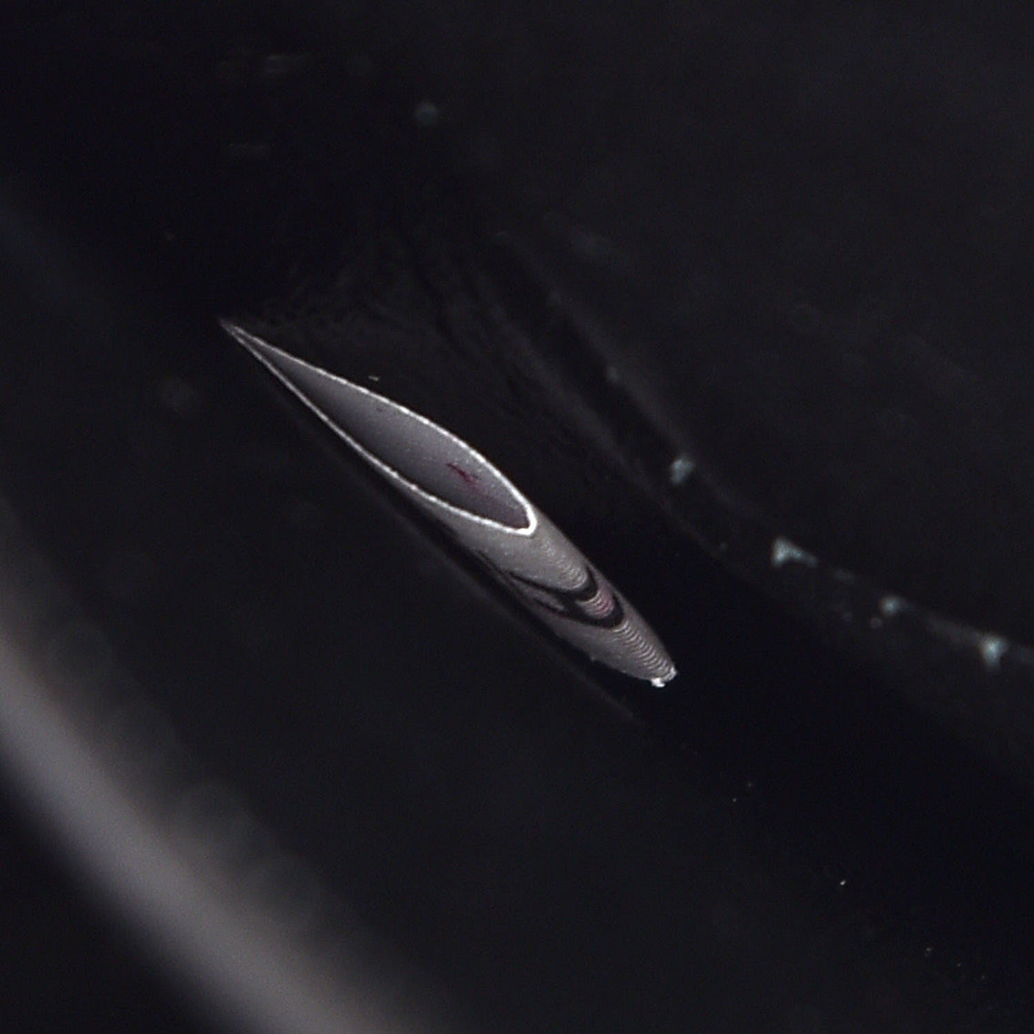 Prada Saffiano Cuir Medium Double Bag Cammeo Black 8 of 17