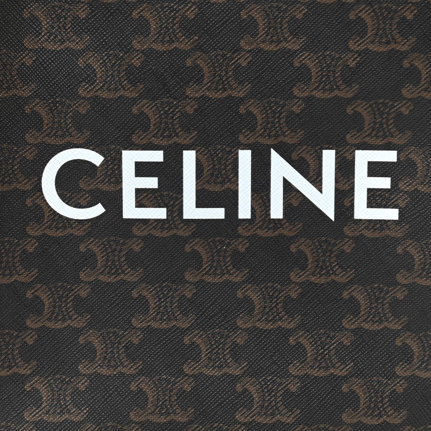 Triomphe Canvas Calfskin Mini Vertical Cabas Tan