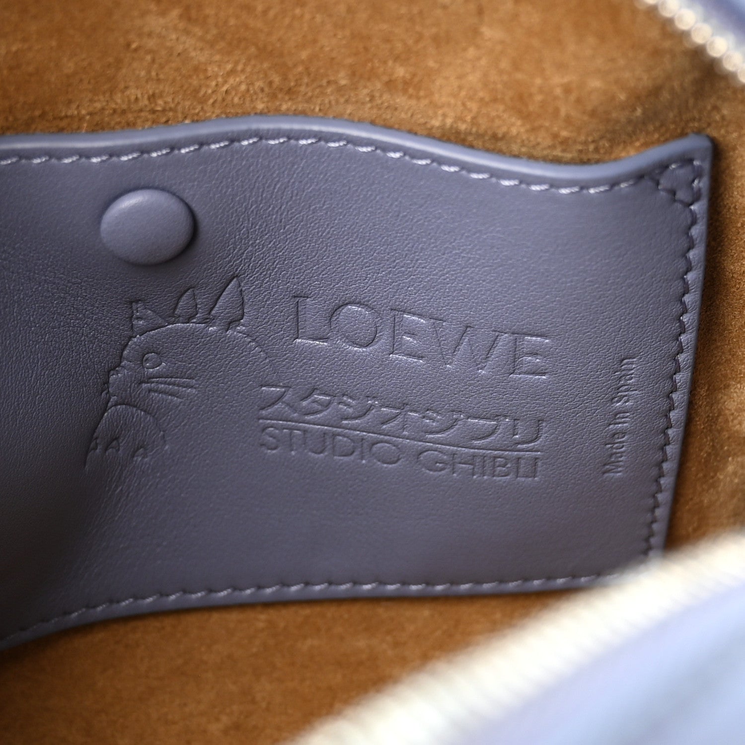 Loewe X HOWLS MOVING CASTLE Satin Calfskin Calcifer Amazona 16