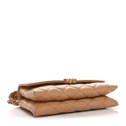 Chanel Crumpled Calfskin Quilted Braided CC Flap Beige 4 of 12