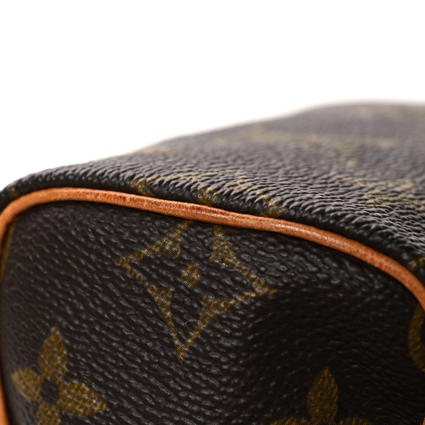 Monogram Mini Sac HL Speedy
