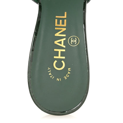 Chanel Crocodile Embossed Patent Calfskin Camelia Thong Sandals 37 Dark Green 7 of 10