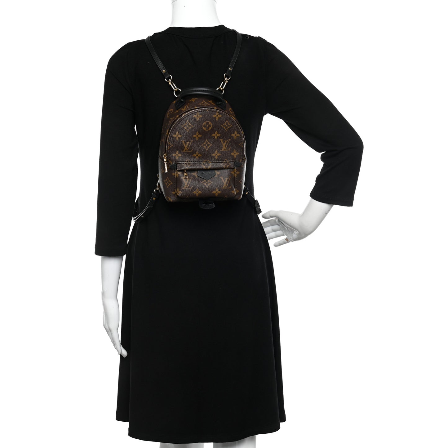 Monogram Palm Springs Backpack Mini