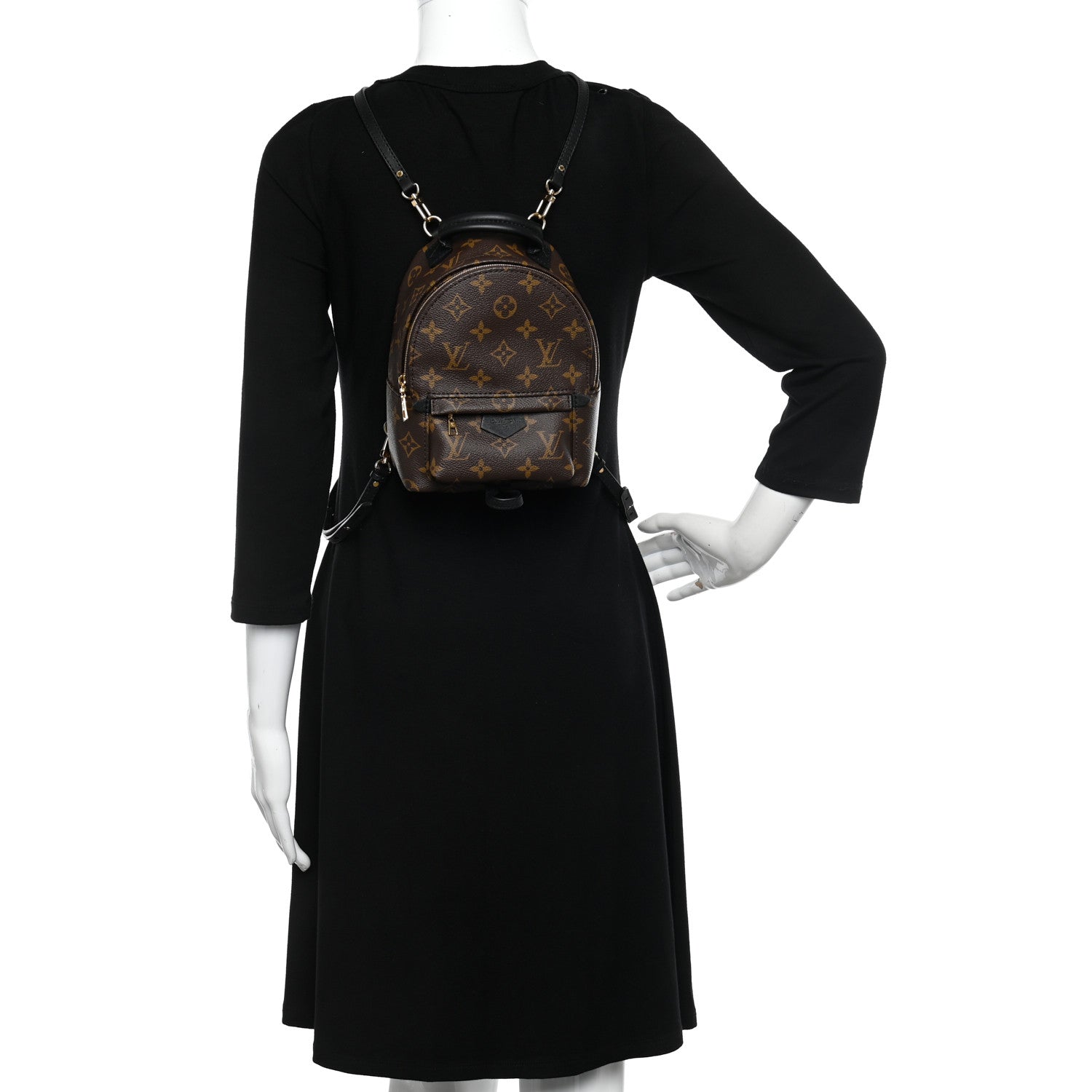 Louis Vuitton Monogram Palm Springs Backpack Mini 2 of 10