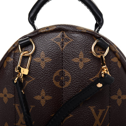 Louis Vuitton Monogram Palm Springs Backpack Mini 11 of 12