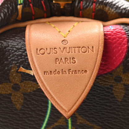 Louis Vuitton Monogram Cerises Keepall 45 6 of 9
