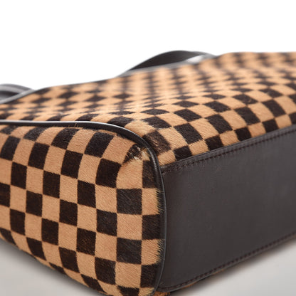 Louis Vuitton Damier Calf Hair Sauvage Lionne 11 of 13