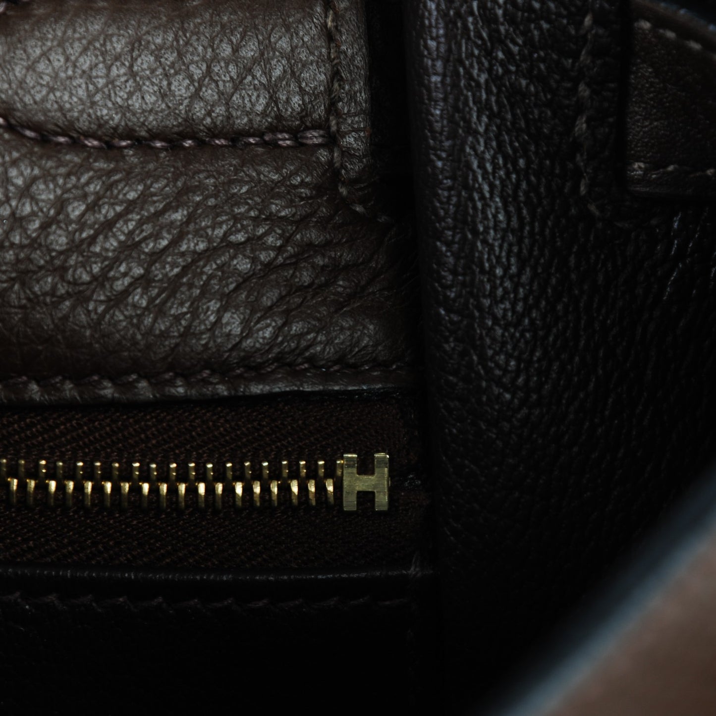 Taurillon Clemence Kelly Retourne 32 Chocolate