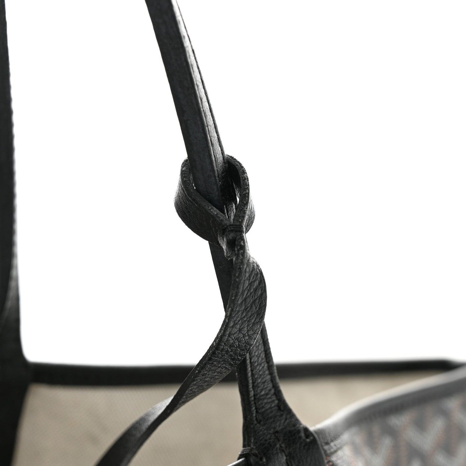 Goyard Goyardine Saint Louis PM Black 12 of 12