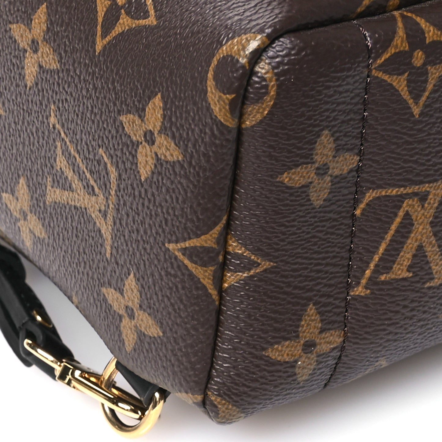 Monogram Palm Springs Backpack Mini