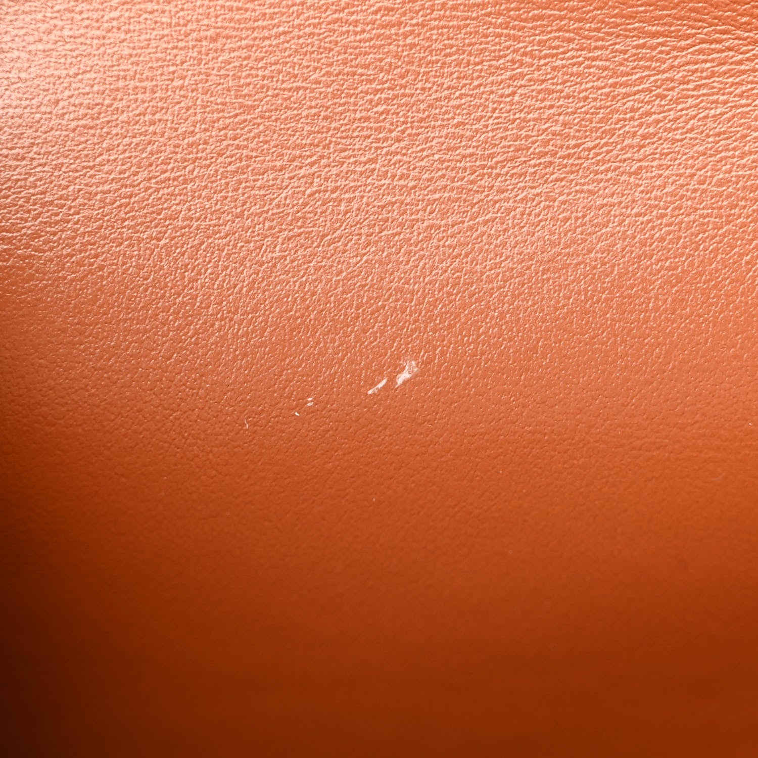 Celine Triomphe Canvas Lambskin Wallet On Strap Tan 12 of 13