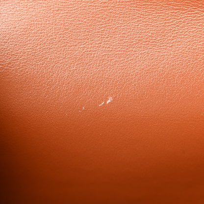 Celine Triomphe Canvas Lambskin Wallet On Strap Tan 12 of 13