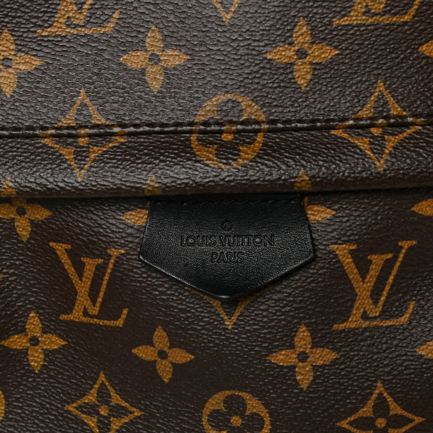 Monogram Palm Springs Backpack MM