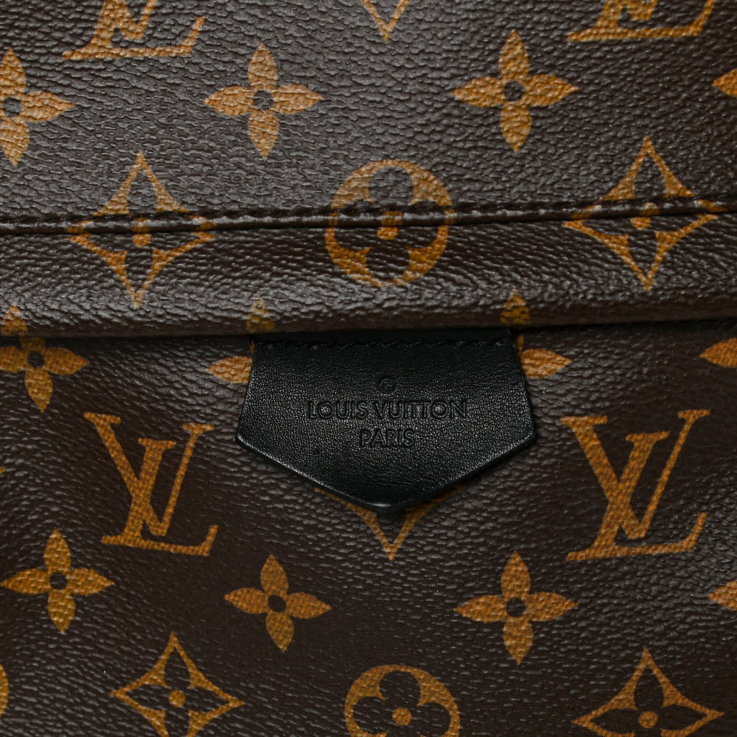 Louis Vuitton Monogram Palm Springs Backpack MM 8 of 12