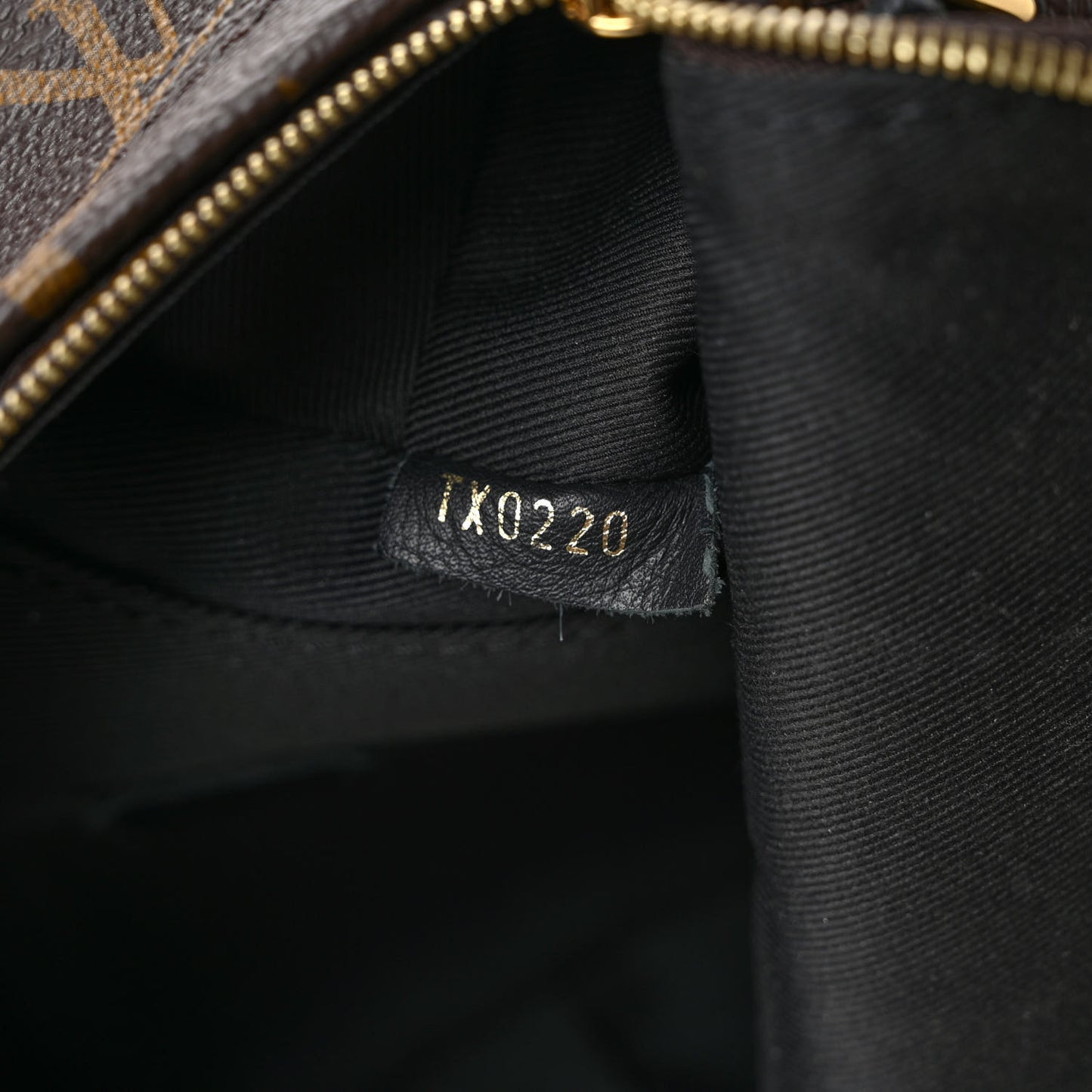 Monogram Palm Springs Backpack Mini