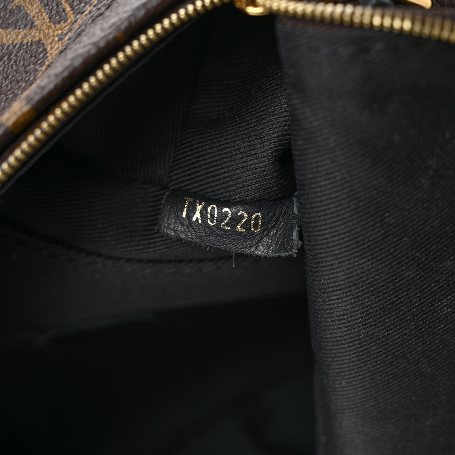 Louis Vuitton Monogram Palm Springs Backpack Mini 7 of 10