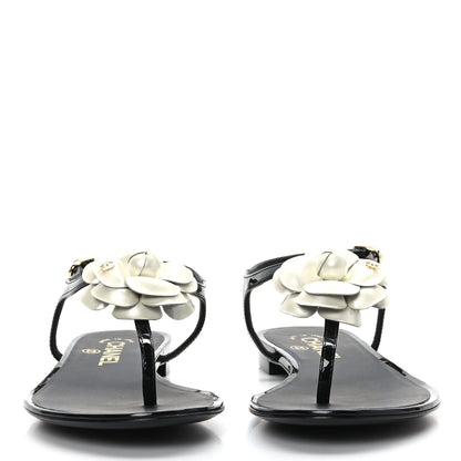 Chanel Lambskin Camellia Thong Sandals 37.5 Black 2 of 7