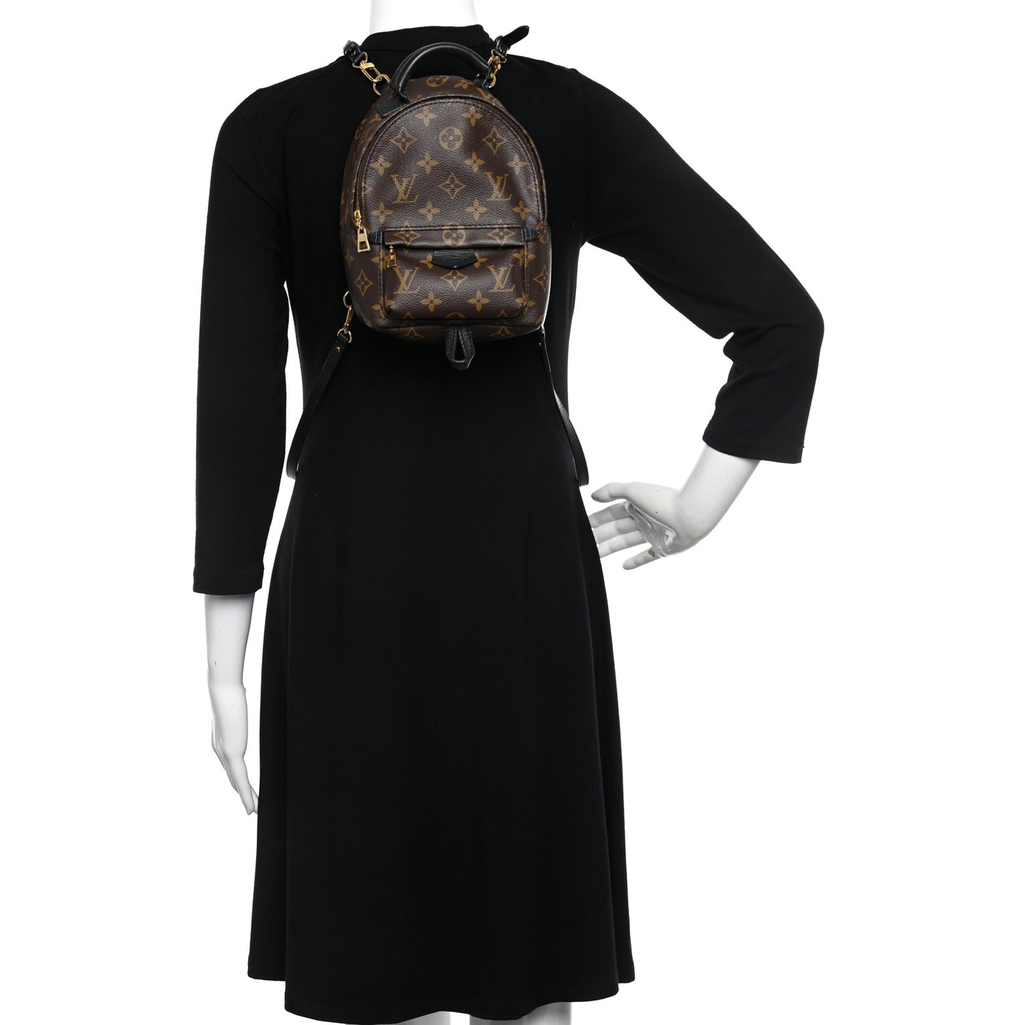 Monogram Palm Springs Backpack Mini