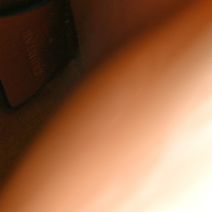 Celine Triomphe Canvas Calfskin Mini Vertical Cabas Grege 7 of 12