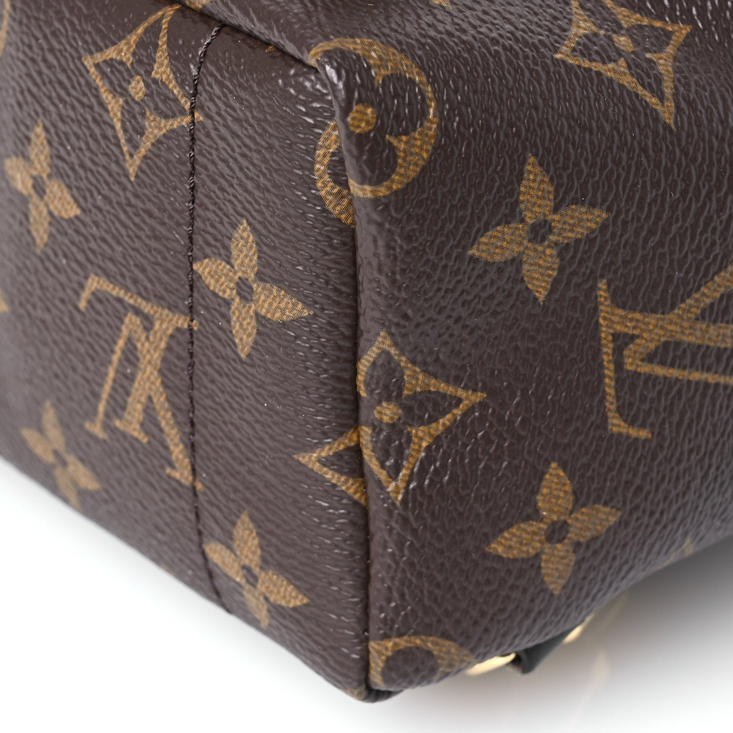 Monogram Palm Springs Backpack Mini