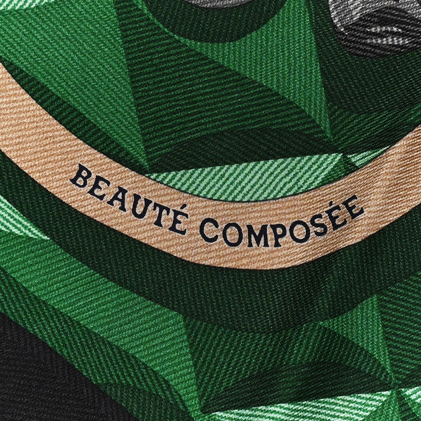Silk Beaute Composee Scarf 90 Black Emeraude Multicolor